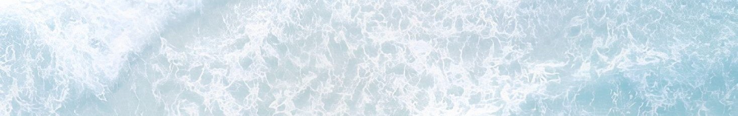 The sea below the villa, seen from above.